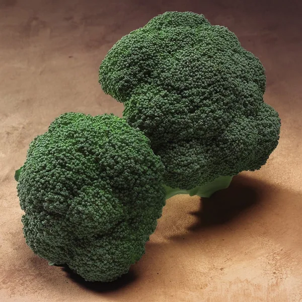 Broccoli, Gypsy Hybrid 1000 Seed Count