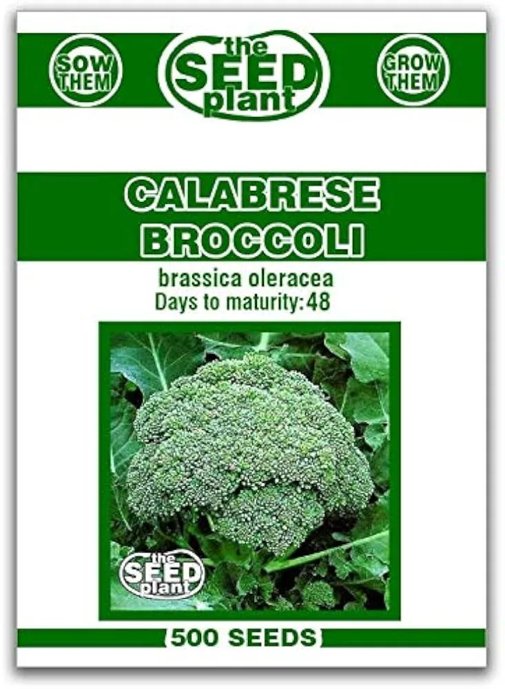 Broccoli, Organic Calabrese 590mg - Image 2