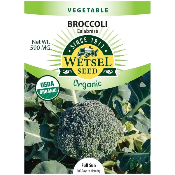 Broccoli, Organic Calabrese 590mg