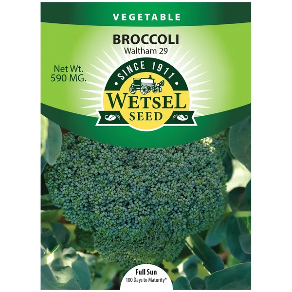 Broccoli, Waltham 590mg