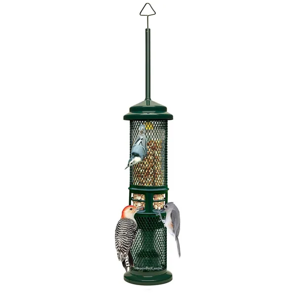 Brome Bird Care 5.13"x19.38" SquirrelBuster Nut Feeder