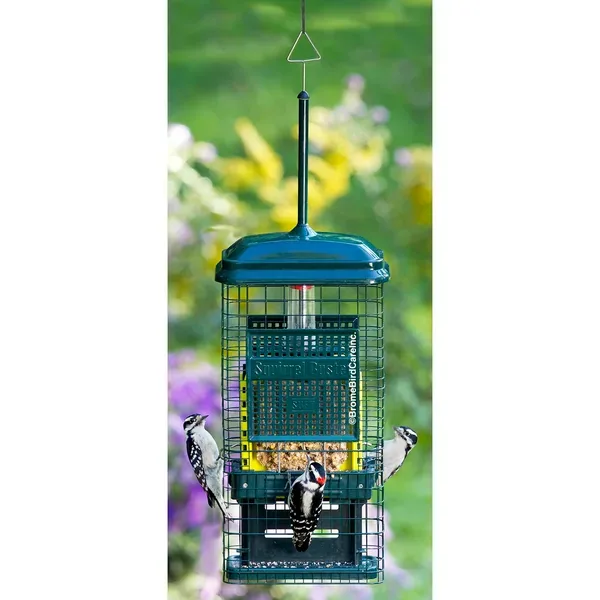 Brome Bird Care 8.625"x4.5"x18.625" SquirrelBuster Suet Feeder - Image 2