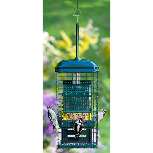 Brome Bird Care 8.625"x4.5"x18.625" SquirrelBuster Suet Feeder