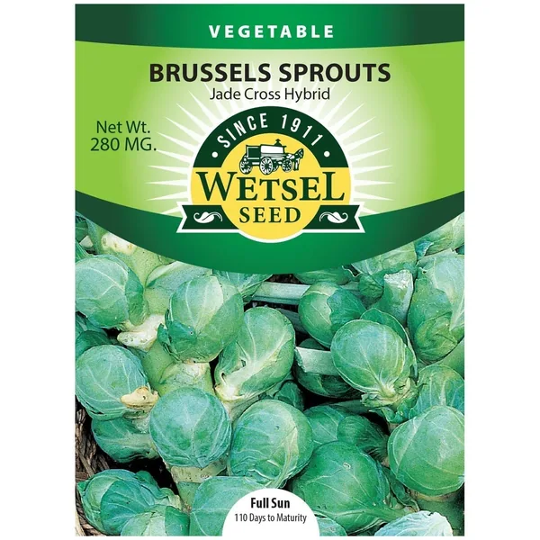 Brussel Sprouts, Jade Cross Hybrid 280mg