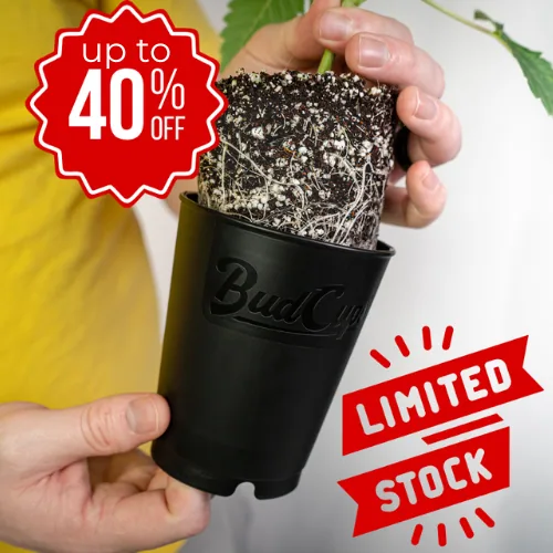 BudCups® Nursery Pots
