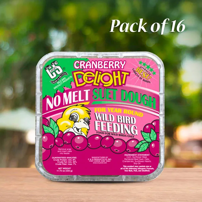 C&S 11.75oz Cranberry Delight No Melt Suet Dough - Image 2