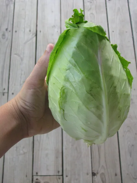 Cabbage, Charleston Wakefield 1/2oz