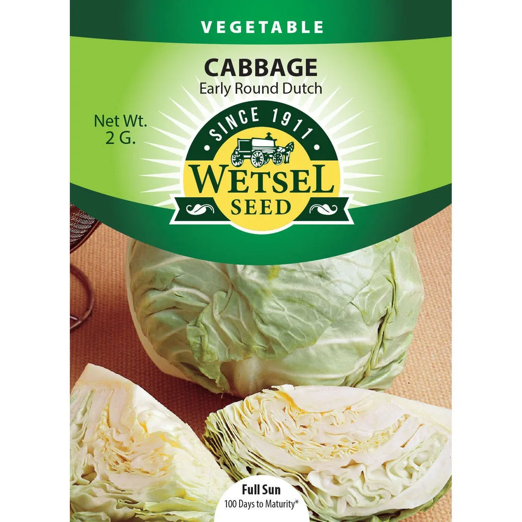 Cabbage, Early Flat Dutch 2 Grams - Image 2