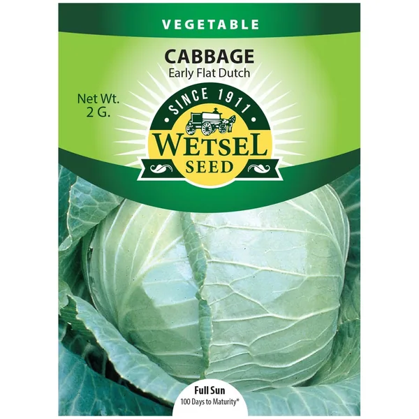 Cabbage, Early Flat Dutch 2 Grams
