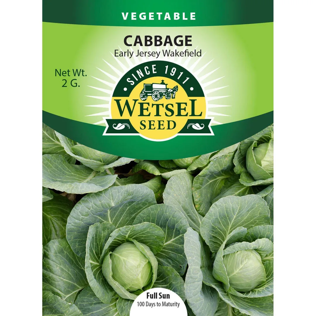 Cabbage, Early Jersey Wakefield 2 Grams - Image 2