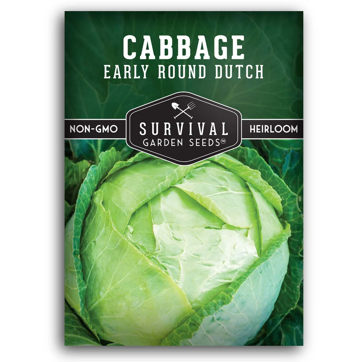Cabbage, Early Round Dutch 1lb - Image 2