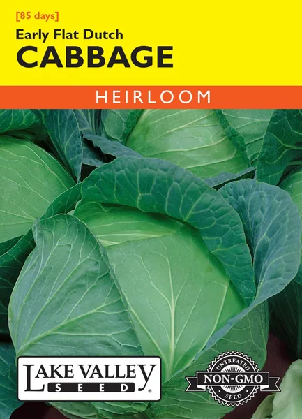 Cabbage, Early Round Dutch 1lb