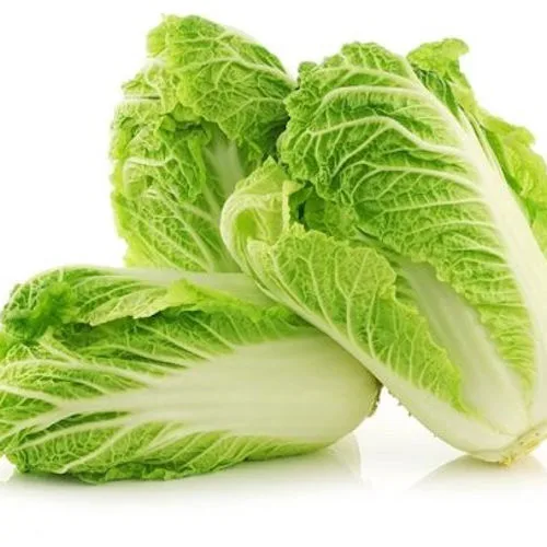 Cabbage, Michihili Chinese 1/2oz - Image 2
