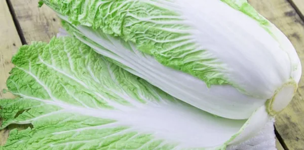 Cabbage, Michihili Chinese 1/2oz
