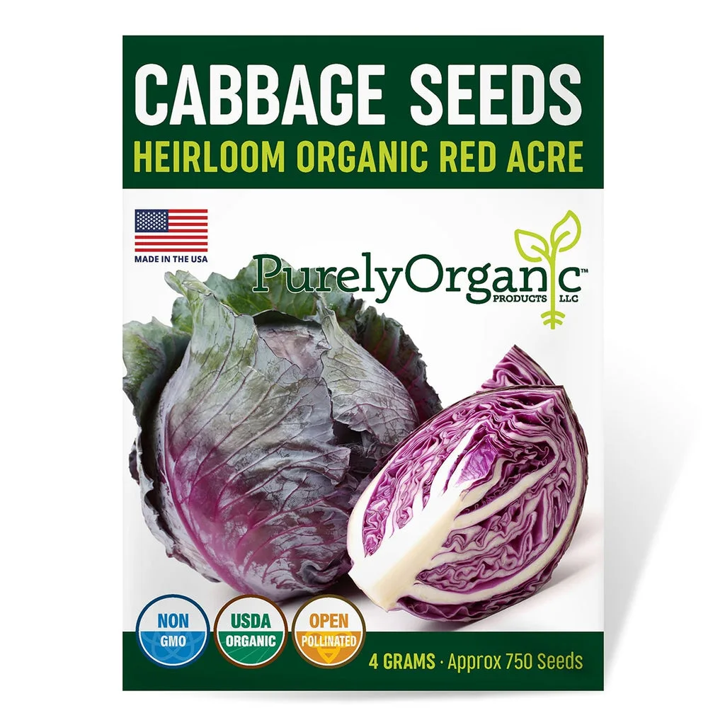 Cabbage, Organic Red Acre 2 Grams - Image 2