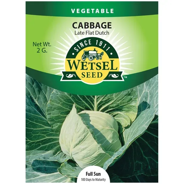 Cabbage, Premium Late Flat Dutch 2 Grams - Image 2