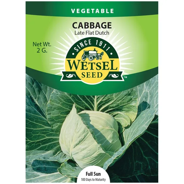 Cabbage, Premium Late Flat Dutch 2 Grams