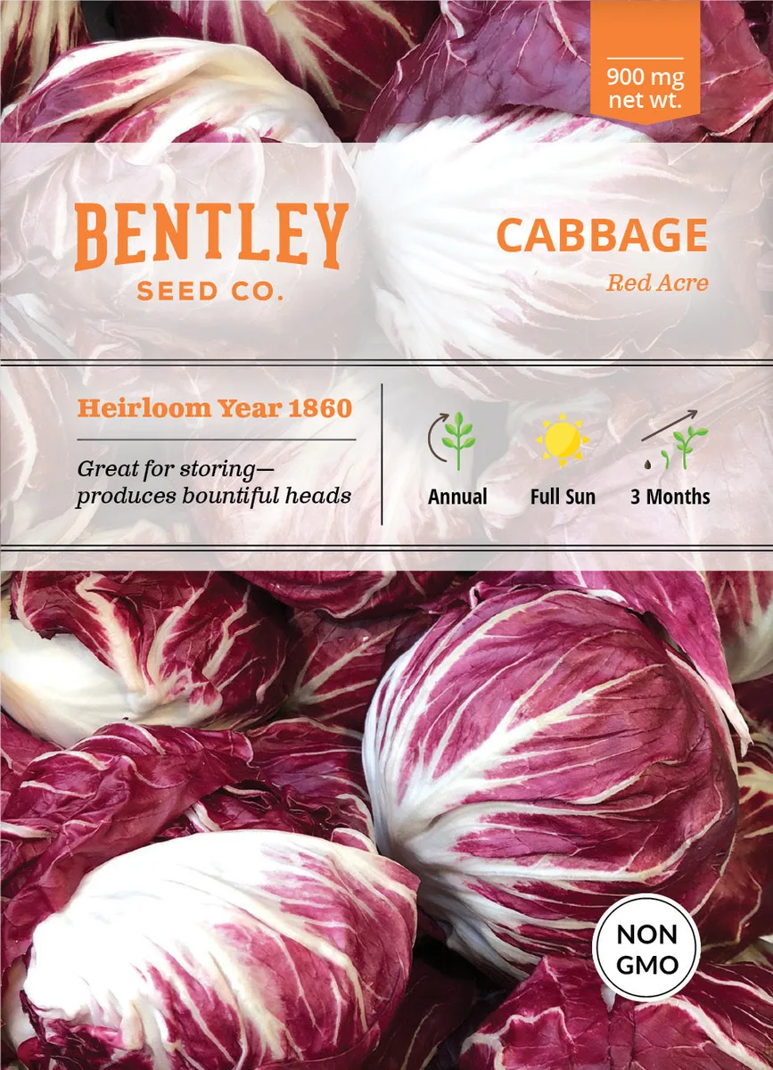 Cabbage, Red Acre 2 Grams - Image 2