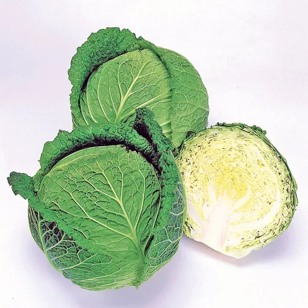 Cabbage, Savoy Ace Improved 5000 Seed Count