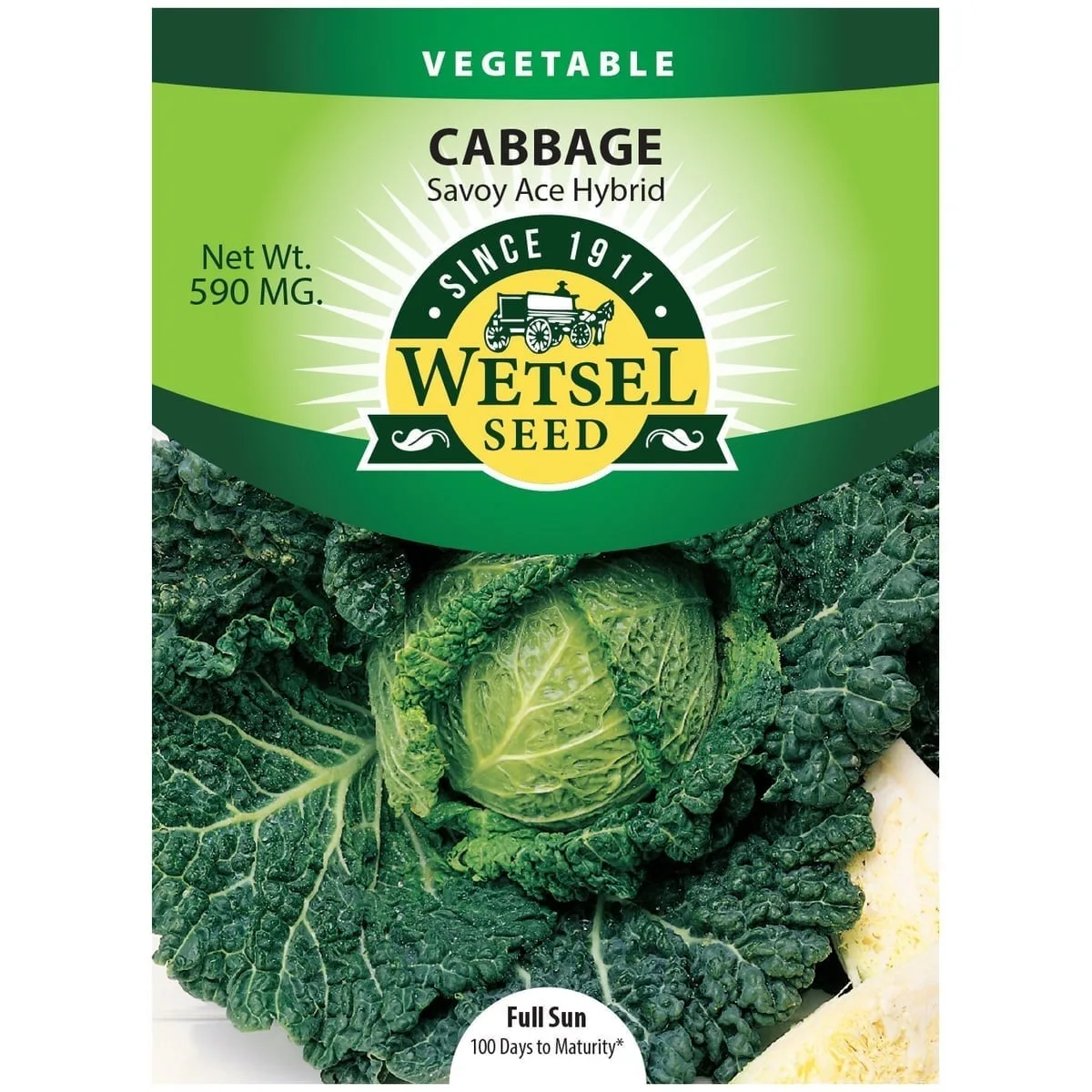Cabbage, Savoy Ace Improved 590mg - Image 2