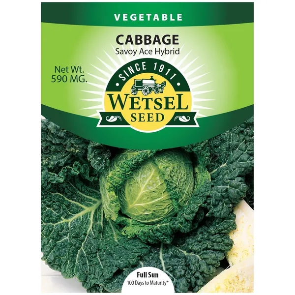 Cabbage, Savoy Ace Improved 590mg