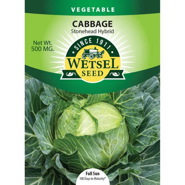 Cabbage, Stonehead Hybrid 500mg - Image 2