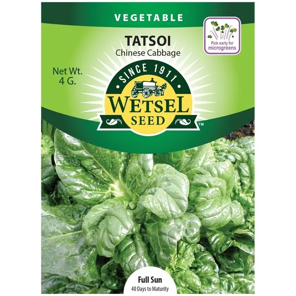 Cabbage, Tatsoi Chinese 4 Grams