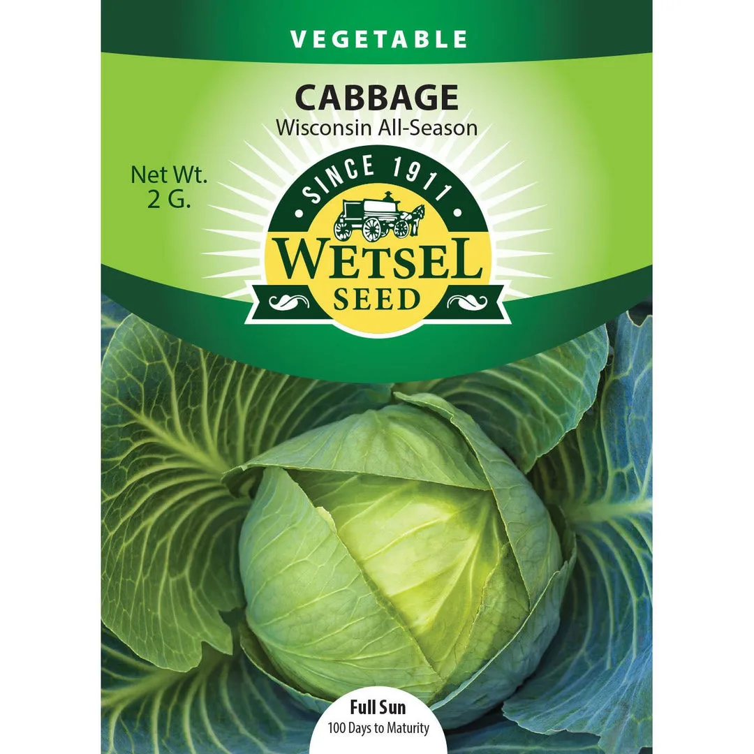 Cabbage, Wisconsin All Season 2 Grams - Image 2