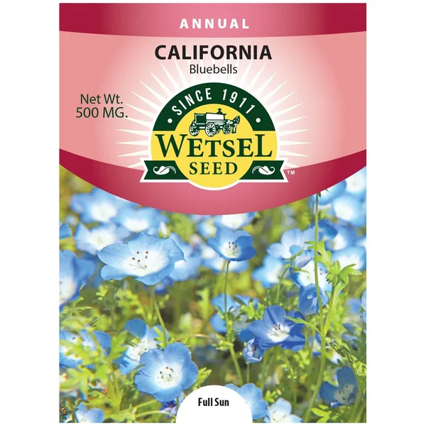 California Bluebells 500mg