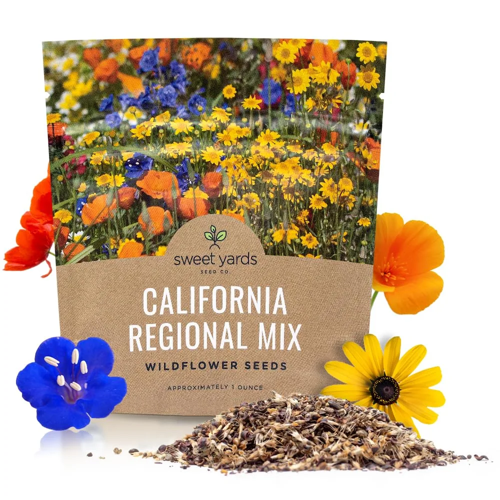 California Wildflower Mix 470mg - Image 2
