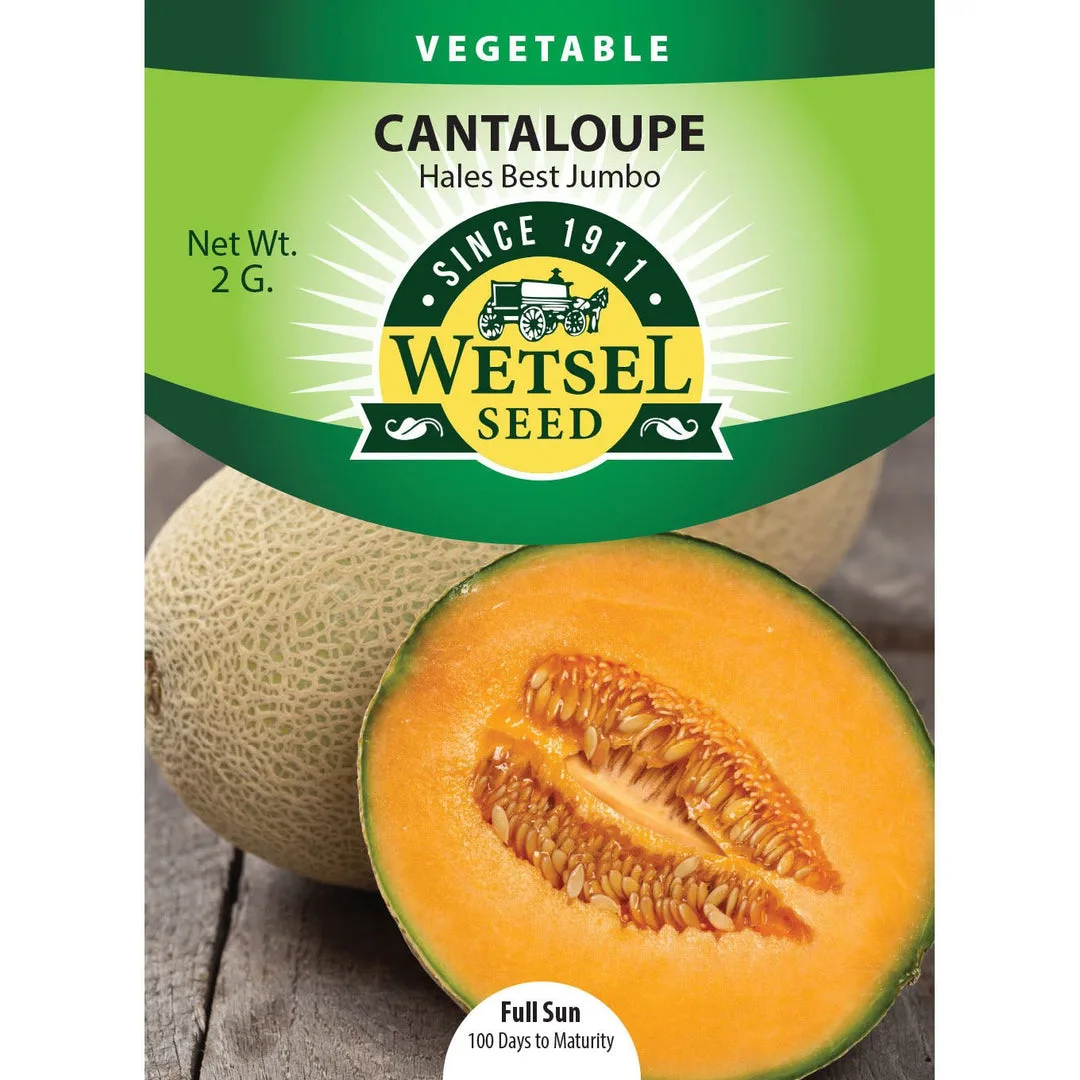 Cantaloupe, Hales Best Jumbo 2 Grams - Image 2