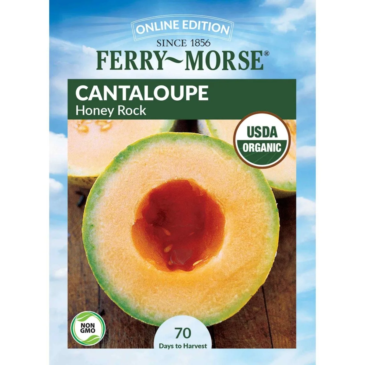 Cantaloupe, Honey Rock 2 Grams - Image 2