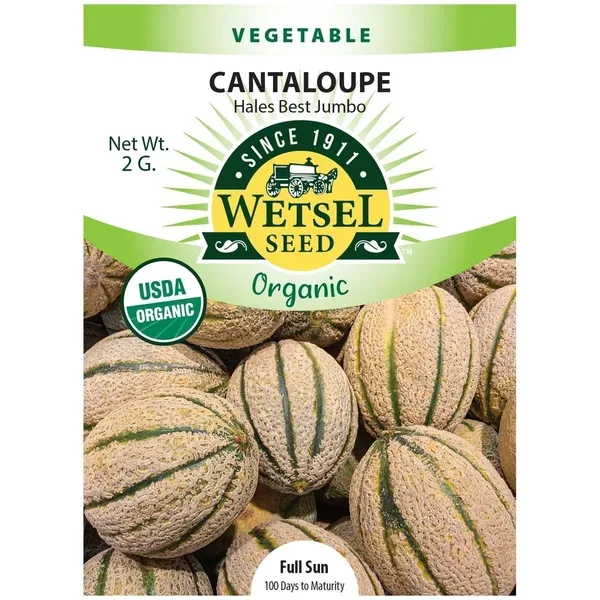 Cantaloupe, Organic Hale Best 2 Grams - Image 2