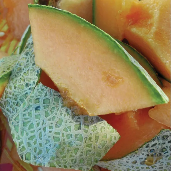 Cantaloupe, Rocky Ford Green Flesh 1