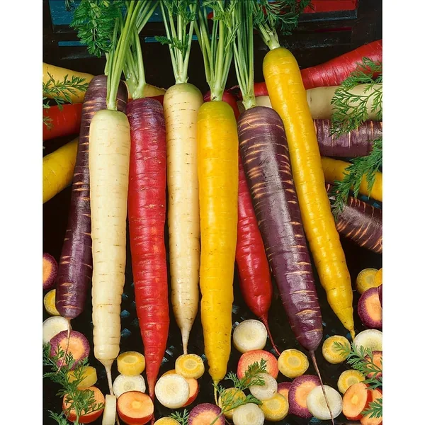 Carrot, Rainbow Blend 1000 Seed Count