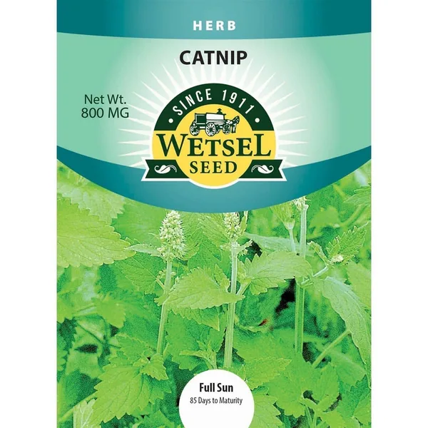 Catnip 800mg