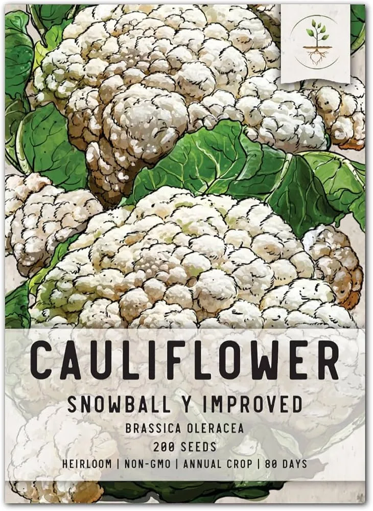 Cauliflower, Snowball Improved 470mg - Image 2
