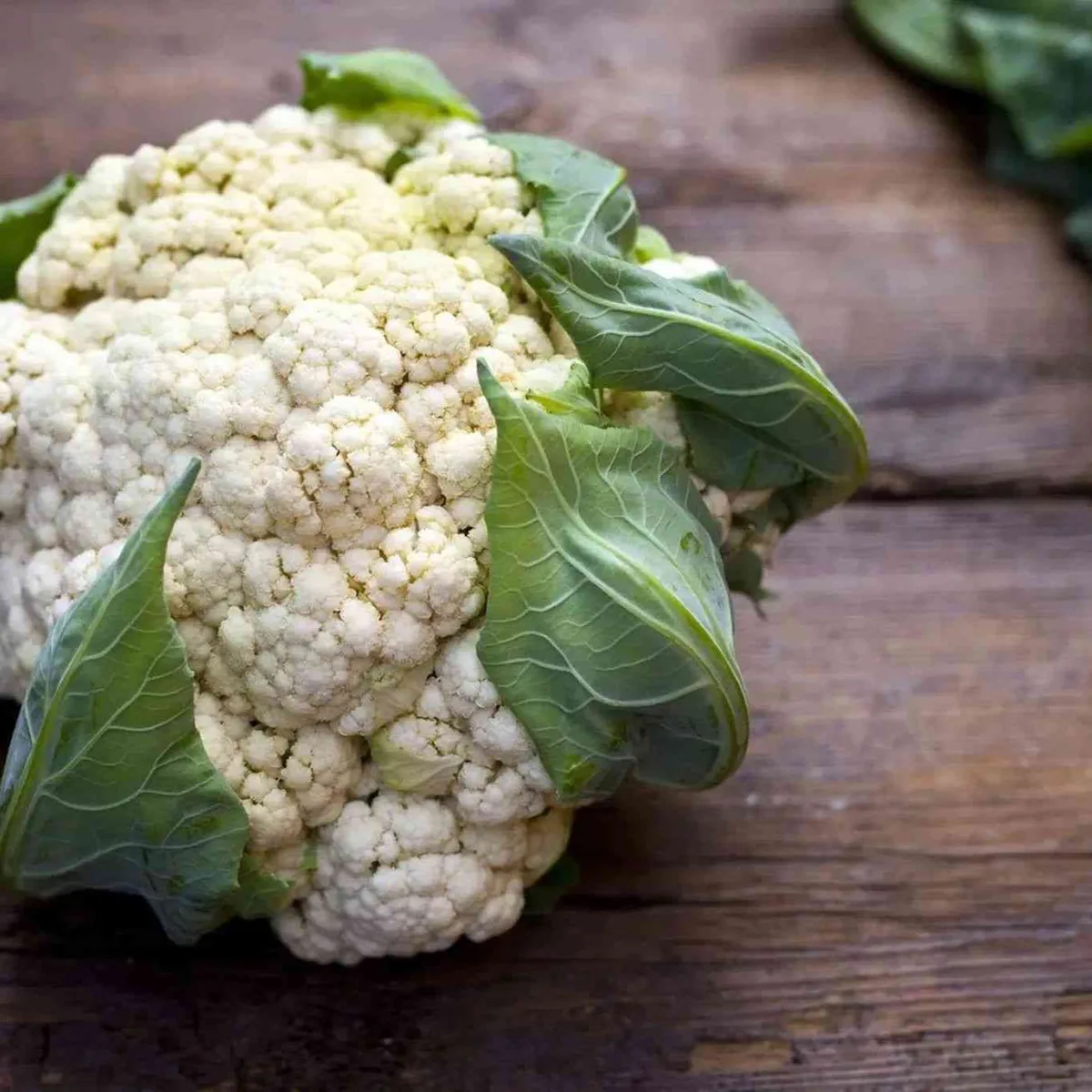 Cauliflower, Snowball Improved 5000 Seed Count - Image 2