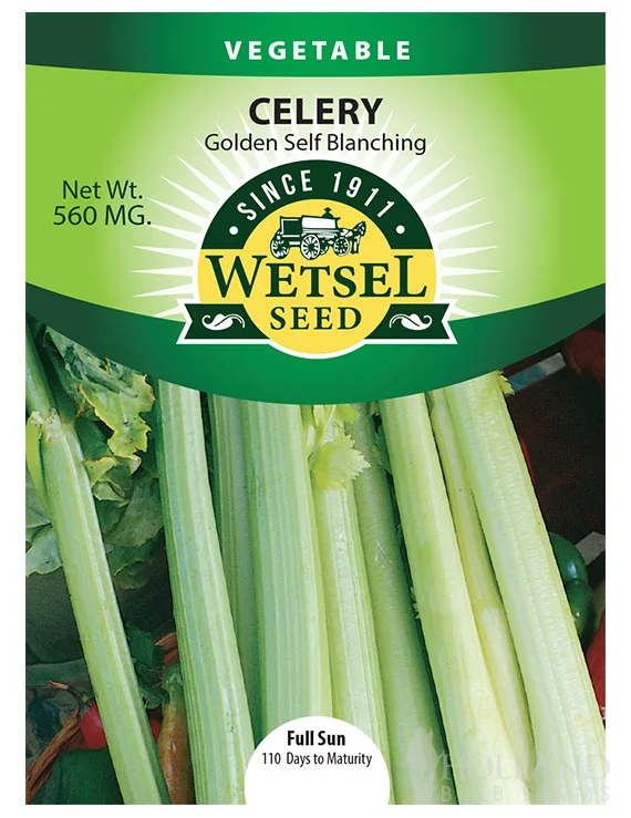 Celery, Golden Self Blanching 560mg - Image 2