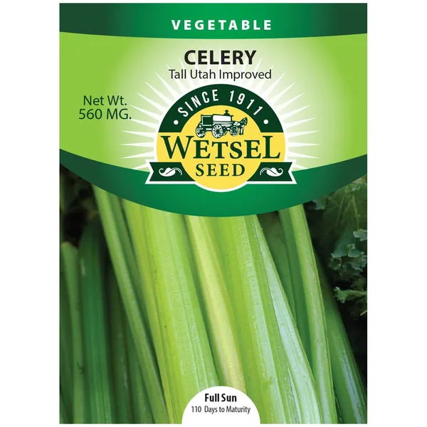 Celery, Tall Utah Improved 560mg