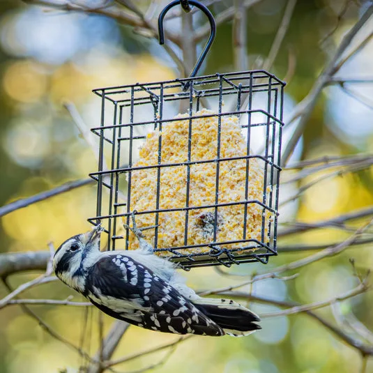 Classic Single Suet Cage - Image 2