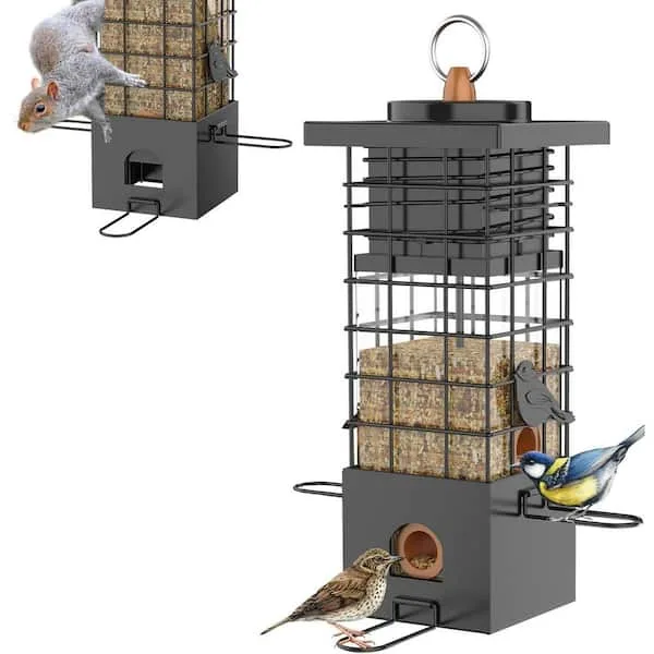 Classic Squirrel X8 Squirrel Proof Feeder 2.5 lbs Capacity - Image 2