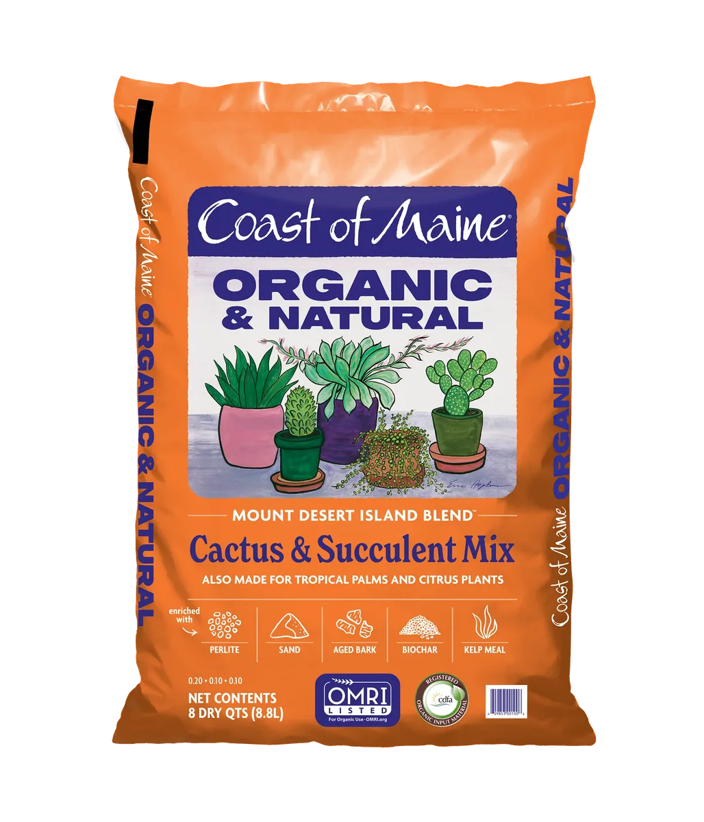 CME 8qt Cactus & Succulent Mix - Image 2