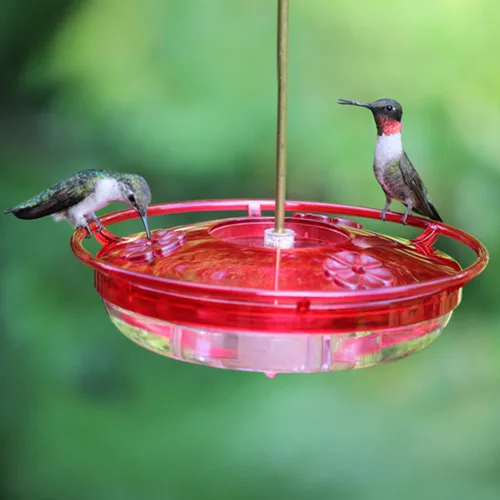 Coles 8oz Hummer High Rise Feeder - Image 2