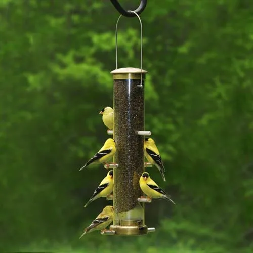 Coles Nifty Niger Feeder - Image 2