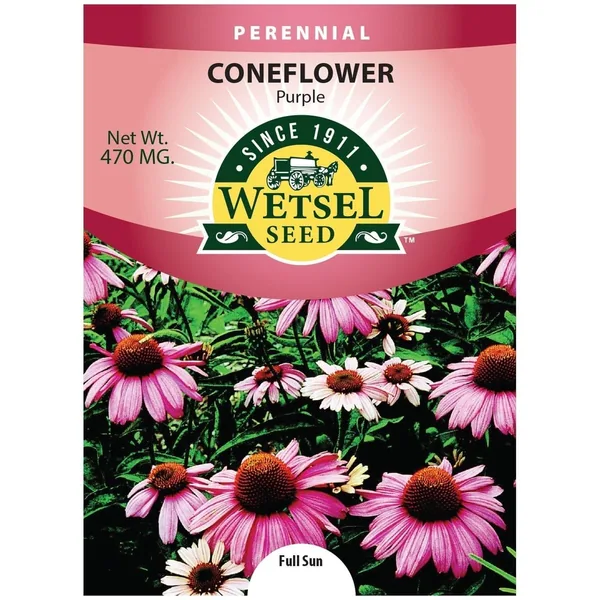 Coneflower, Purple 470mg