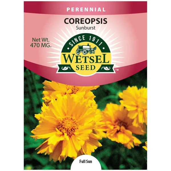 Coreopsis, Sunburst 470mg
