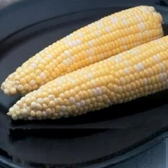 Corn, Ambrosia 1/2lb
