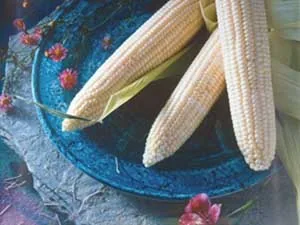 Corn, Argent lbs
