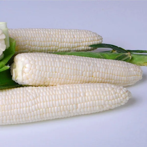 Corn, Argent